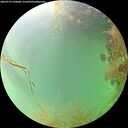 ./images/calvert/underwater/20260729/underwater20260729_140001M.jpg