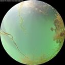 ./images/calvert/underwater/20260729/underwater20260729_141002M.jpg
