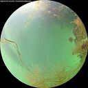 ./images/calvert/underwater/20260729/underwater20260729_141501M.jpg