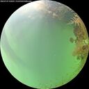 ./images/calvert/underwater/20260729/underwater20260729_142001M.jpg