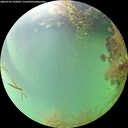 ./images/calvert/underwater/20260729/underwater20260729_143001M.jpg