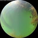 ./images/calvert/underwater/20260729/underwater20260729_144002M.jpg