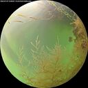 ./images/calvert/underwater/20260729/underwater20260729_150001M.jpg