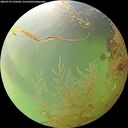 ./images/calvert/underwater/20260729/underwater20260729_150501M.jpg