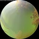./images/calvert/underwater/20260729/underwater20260729_153002M.jpg