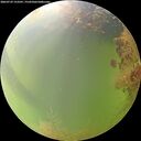./images/calvert/underwater/20260729/underwater20260729_153501M.jpg