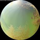 ./images/calvert/underwater/20260729/underwater20260729_154001M.jpg