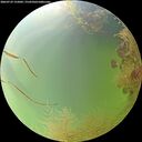 ./images/calvert/underwater/20260729/underwater20260729_155001M.jpg