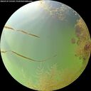 ./images/calvert/underwater/20260729/underwater20260729_155501M.jpg
