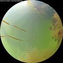 ./images/calvert/underwater/20260729/underwater20260729_160001M.jpg