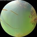 ./images/calvert/underwater/20260729/underwater20260729_160501M.jpg