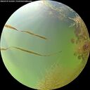 ./images/calvert/underwater/20260729/underwater20260729_161001M.jpg