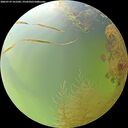 ./images/calvert/underwater/20260729/underwater20260729_161501M.jpg