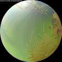 ./images/calvert/underwater/20260729/underwater20260729_162001M.jpg