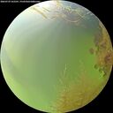 ./images/calvert/underwater/20260729/underwater20260729_162501M.jpg