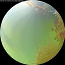 ./images/calvert/underwater/20260729/underwater20260729_163501M.jpg