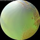 ./images/calvert/underwater/20260729/underwater20260729_164002M.jpg