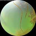 ./images/calvert/underwater/20260729/underwater20260729_170001M.jpg