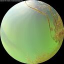 ./images/calvert/underwater/20260729/underwater20260729_170501M.jpg