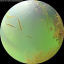./images/calvert/underwater/20260729/underwater20260729_171002M.jpg