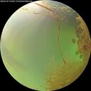 ./images/calvert/underwater/20260729/underwater20260729_173501M.jpg