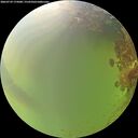 ./images/calvert/underwater/20260729/underwater20260729_175001M.jpg