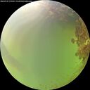 ./images/calvert/underwater/20260729/underwater20260729_175501M.jpg