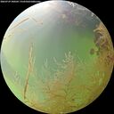 ./images/calvert/underwater/20260729/underwater20260729_180502M.jpg