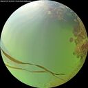 ./images/calvert/underwater/20260729/underwater20260729_181501M.jpg