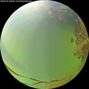 ./images/calvert/underwater/20260729/underwater20260729_182001M.jpg