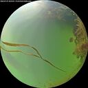 ./images/calvert/underwater/20260729/underwater20260729_182501M.jpg