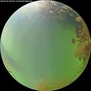 ./images/calvert/underwater/20260729/underwater20260729_184501M.jpg