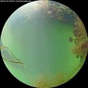 ./images/calvert/underwater/20260729/underwater20260729_190501M.jpg