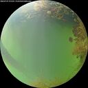 ./images/calvert/underwater/20260729/underwater20260729_191501M.jpg