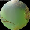 ./images/calvert/underwater/20260729/underwater20260729_193001M.jpg