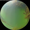 ./images/calvert/underwater/20260729/underwater20260729_193501M.jpg