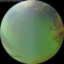 ./images/calvert/underwater/20260729/underwater20260729_195002M.jpg