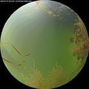 ./images/calvert/underwater/20260729/underwater20260729_201501M.jpg