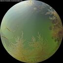 ./images/calvert/underwater/20260729/underwater20260729_202002M.jpg