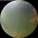 ./images/calvert/underwater/20260729/underwater20260729_205001M.jpg