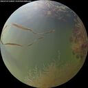 ./images/calvert/underwater/20260729/underwater20260729_210001M.jpg
