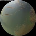 ./images/calvert/underwater/20260729/underwater20260729_211501M.jpg
