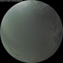 ./images/calvert/underwater/20260729/underwater20260729_215001M.jpg