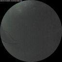 ./images/calvert/underwater/20260729/underwater20260729_220002M.jpg