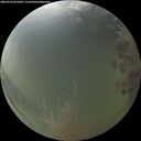 ./images/calvert/underwater/20260730/underwater20260730_054501M.jpg