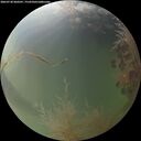 ./images/calvert/underwater/20260730/underwater20260730_060501M.jpg