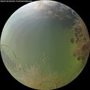 ./images/calvert/underwater/20260730/underwater20260730_062502M.jpg