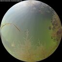 ./images/calvert/underwater/20260730/underwater20260730_063501M.jpg
