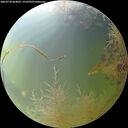 ./images/calvert/underwater/20260730/underwater20260730_064001M.jpg