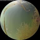 ./images/calvert/underwater/20260730/underwater20260730_065001M.jpg